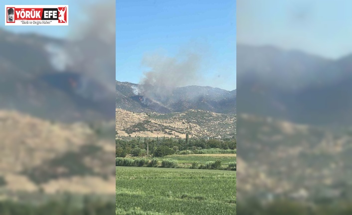 Nazilli’de makilik yangınını söndürme çalışmaları devam ediyor