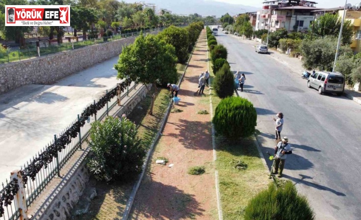 Nazilli’de yürüyüş yolları temizlendi