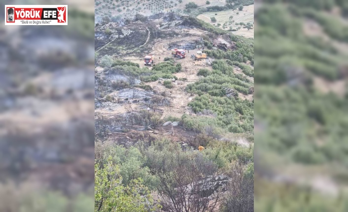 Nazilli’deki yangın söndürüldü