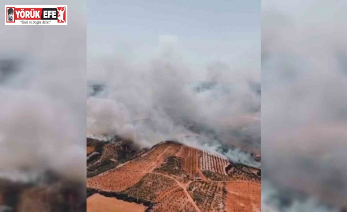 Ormanlık alana sıçrayan yangın havadan görüntülendi