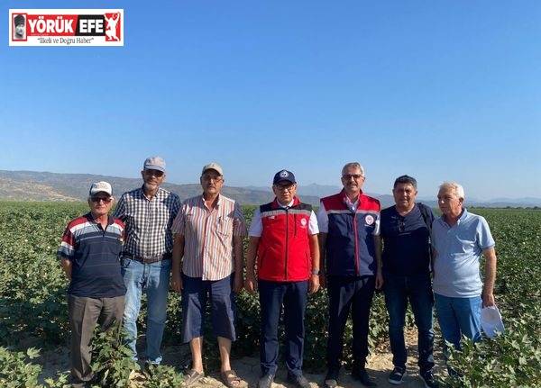 Söke, Aydın’ın pamuk başkenti olmaya devam ediyor