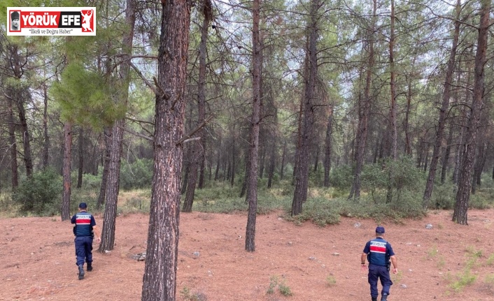 Yasak ormanlık alanlara giren 31 kişi cezadan kaçamadı