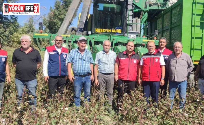 AB tescilli Söke Pamuğu hasadı sürüyor