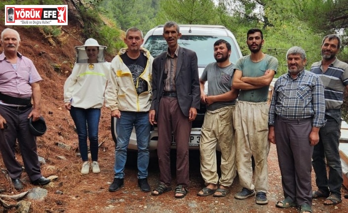 Atburgazı Mahallesi’nde arılı kovan tespiti yapıldı