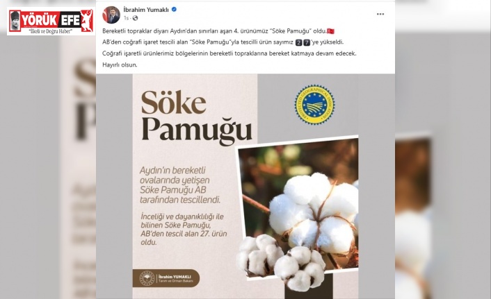 Bakan Yumaklı’dan Söke Pamuğu paylaşımı