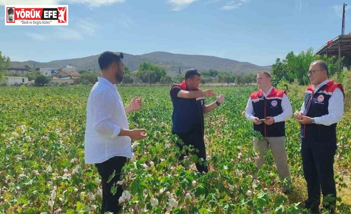 Didim’de üretim alanları kontrol edildi