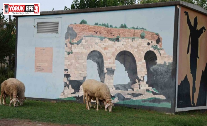 Doğurganlık hızının hızla düştüğü Aydın’da parklar koyunlara kaldı