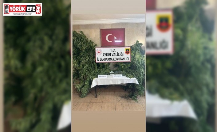 Germencik’te uyuşturucu operasyonu: 1 gözaltı