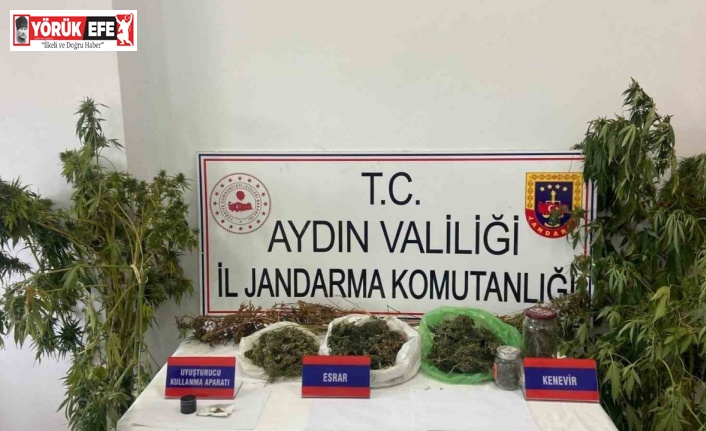 Mısır tarlasına uyuşturucu ekti, jandarmadan kaçamadı