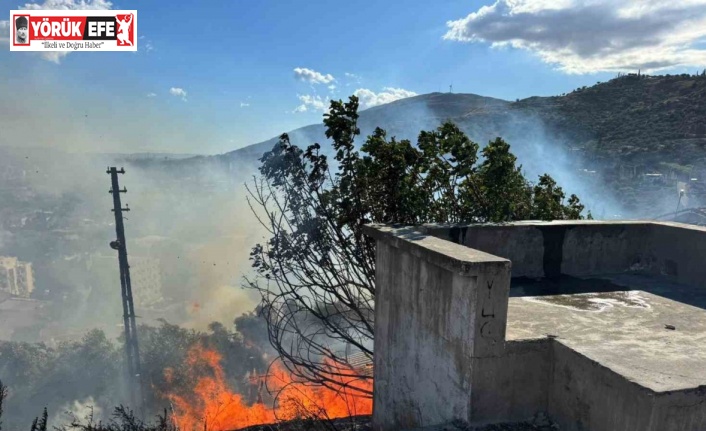 Söke’de otluk alanda çıkan yangın ahıra sıçradı