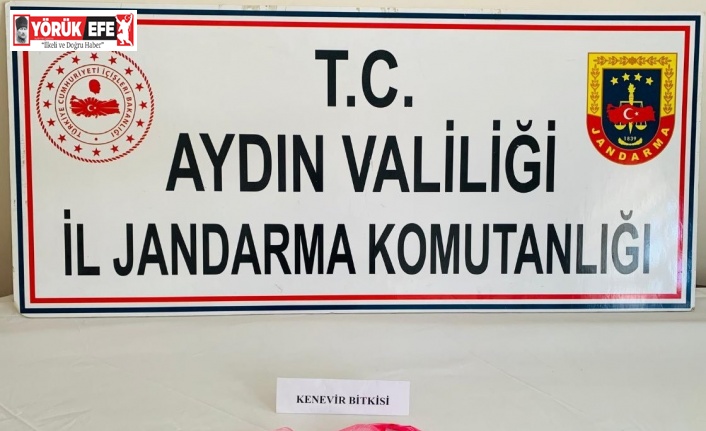 Uyuşturucu kullanan 7 kişi yakalandı