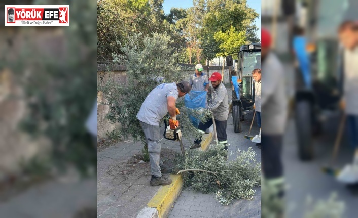 Çiçek gibi Nazilli için belediye ekipleri durmuyor