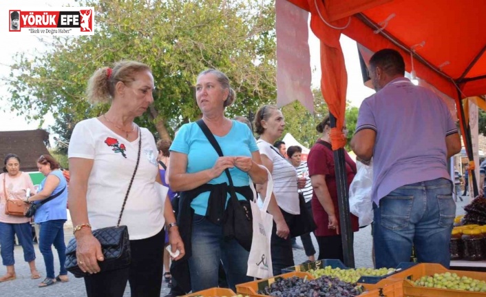 Didim Zeytin Festivali başladı