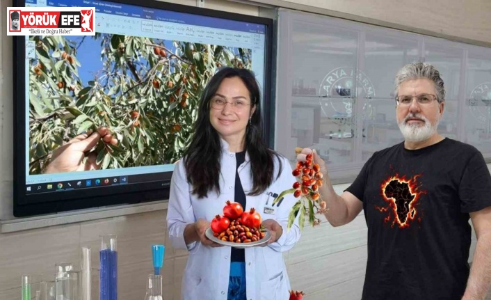 Karya-Farma, Eylül ayında nar ve iğdeyi laboratuvara aldı