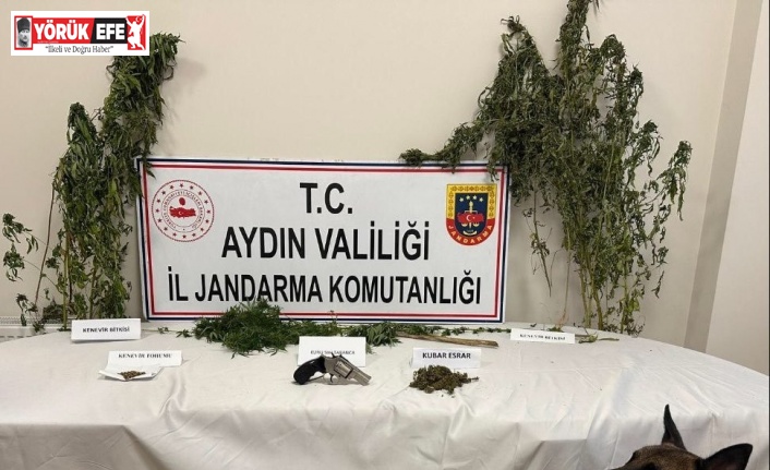 Koçarlı’da uyuşturucu baskını: 1 gözaltı