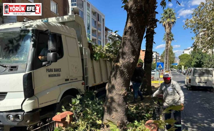 Nazilli Belediyesi kış hazırlıklarına hızla devam ediyor