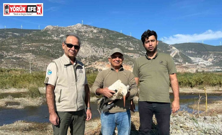 Sofya’dan Kuşadas’ına gelen yaralı leylek doğaya salındı