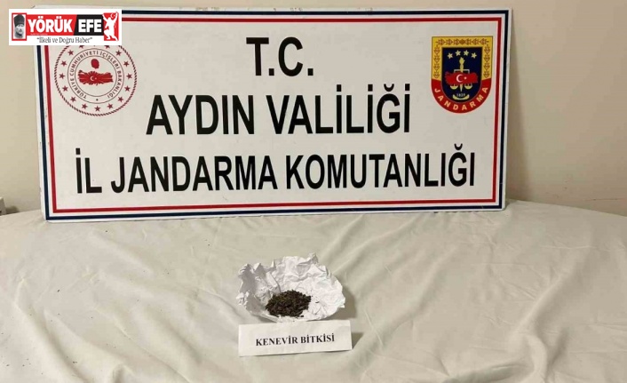 Aydın jandarmasından uyuşturucu operasyonu