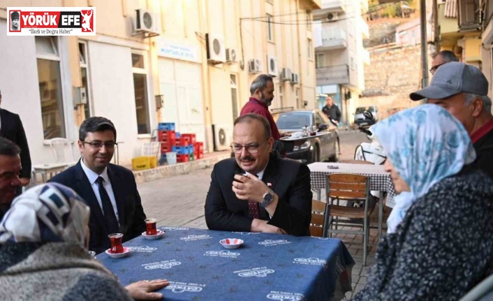 Aydın Valisi Canbolat, Yenipazar’da incelemelerde bulundu