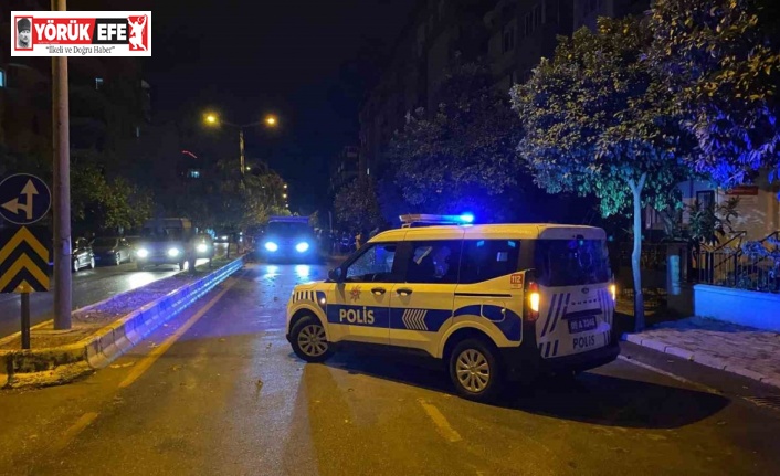 Devrilen ağaç yolu trafiğe kapattı