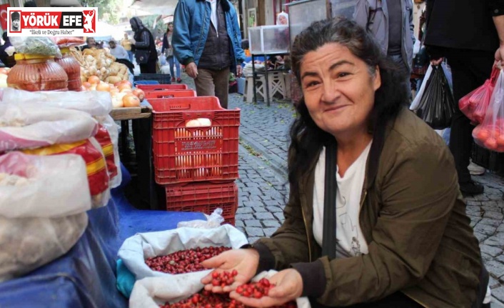 Dikenlerin arasında zahmetle toplanan kuşburnu, tezgahlarda yerini aldı