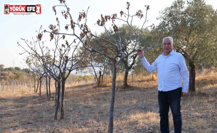 Ege’de kuraklık alarmı