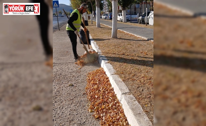 Germencik’te ’sonbahar’ temizliği