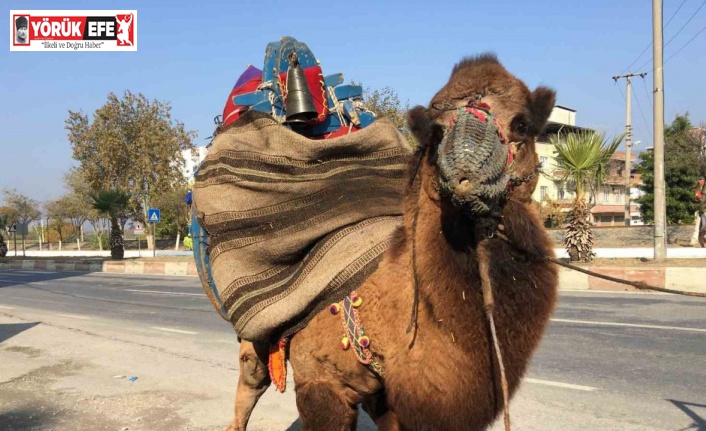 Güreşler için her gün 10 kilometre yürütülüyor