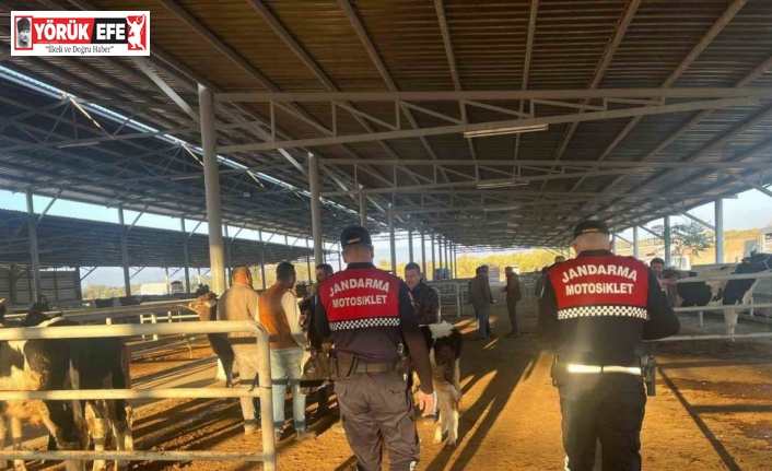 Hayvan pazarında ’dolandırıcılık’ kontrolü