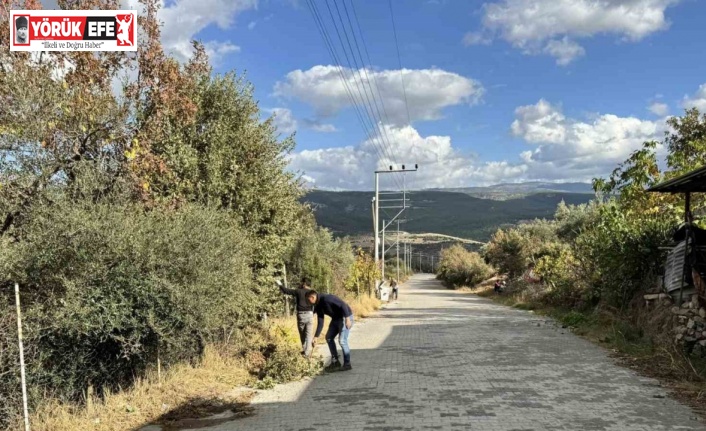 Karacasu’da mahalleler temizleniyor