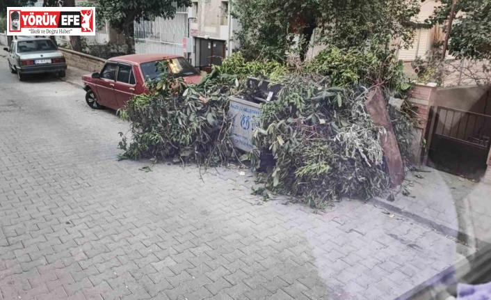 Nazilli Belediyesi Temizlik İşleri Müdürlüğü’nden vatandaşlara çağrı