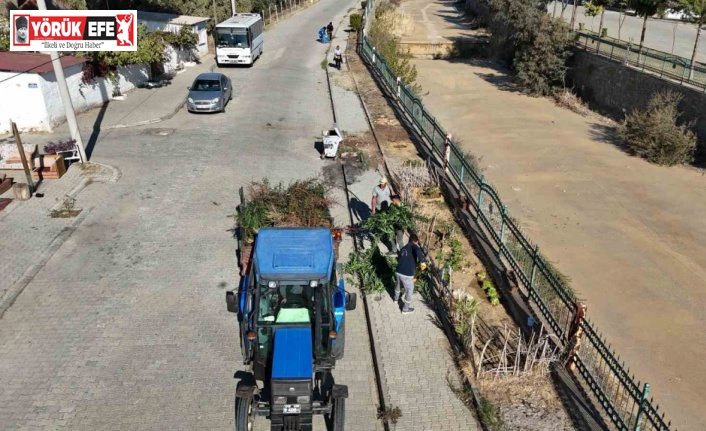 Nazilli Pınarbaşı yürüyüş yolu temizlendi