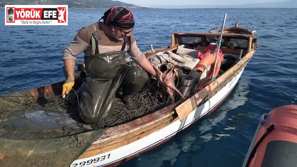 Söke’de su ürünleri denetimi