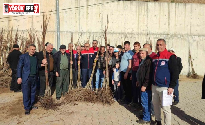 Aydın’da tarımsal üretime destek