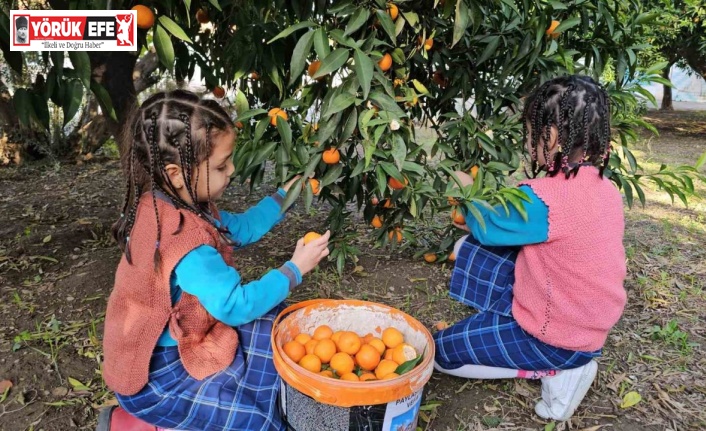 Aydın’dan Elazığ ve Şemdinli’deki engellilere vefa köprüsü