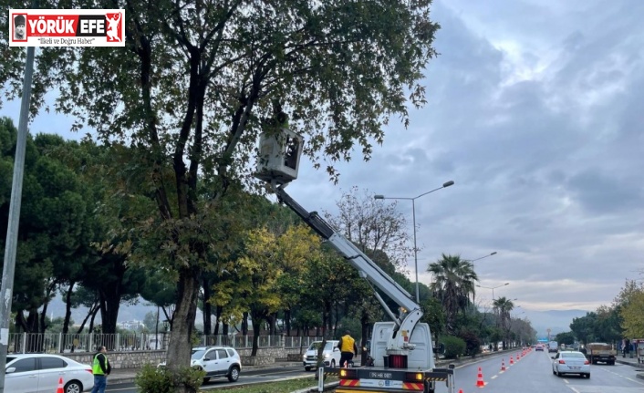 Büyükşehrin çalışmaları hız kesmeden devam ediyor