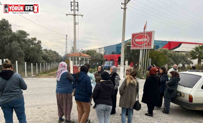 İşletme iflas etti alacaklılar kapıya dayandı