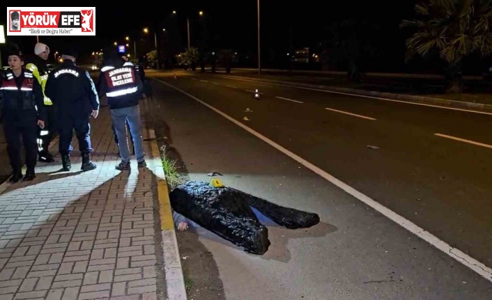 Kardeşini kazadan korumak isteyen ağabey, otomobilin çarpmasıyla hayatını kaybetti