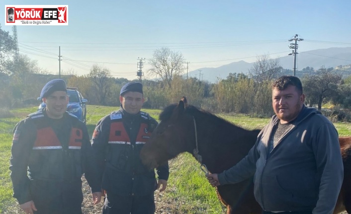 Kaybolan rahvan atı, jandarma ekiplerince bulundu