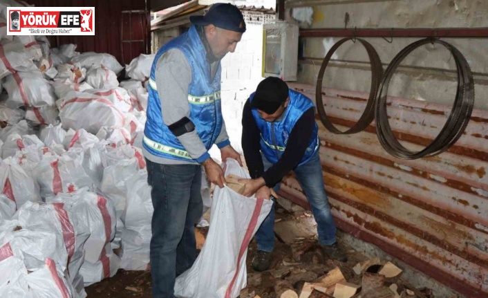 Nazilli’de devrilen ağaçlar yakacak olarak kullanılacak