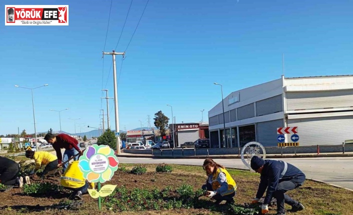 Başkan Çerçioğlu Didim’i rengarenk çiçekler ile süslüyor