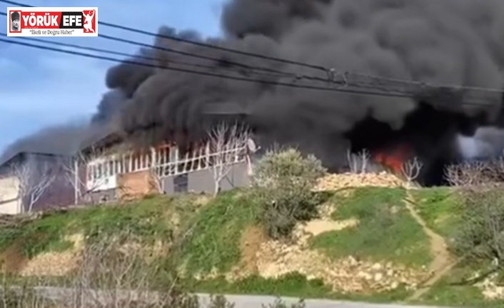 Bozdoğan’da iş yeri yangını