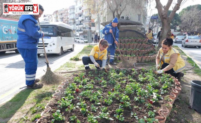 Büyükşehir’in çiçekleri Söke’yi renklendirdi