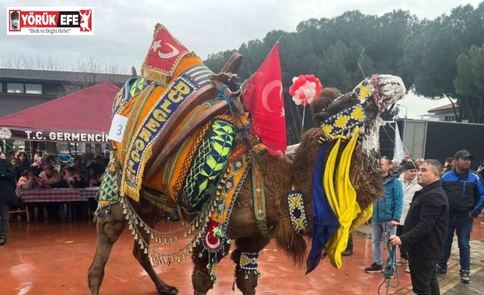 Develer podyuma çıktı, en yakışıklısı seçildi