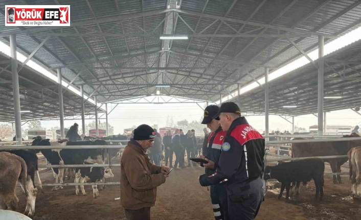 Jandarmadan, hayvan pazarında ’dolandırıcı’ denetimi