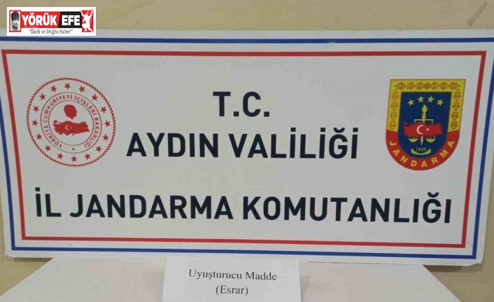 Jandarmanın hassas burunlu köpeği uyuşturucuya geçit vermedi