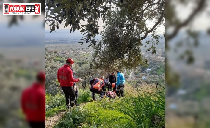 Ağaçtan düşerek ayağı kırılan vatandaşı ekipler kurtardı