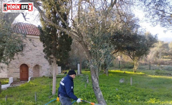 Aydınbey Türbesi bakıma alındı