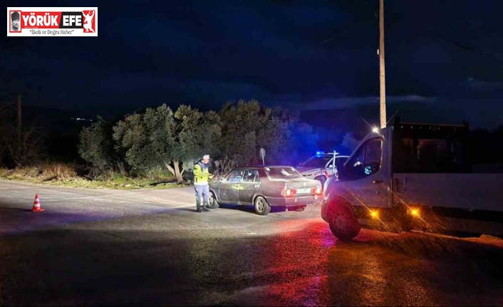 Aydın’da jandarmanın son bir haftada yakaladığı 49 kişi tutuklandı