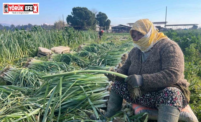 Çalışarak sağlığını koruyor ve ekonomik refahını sağlıyor